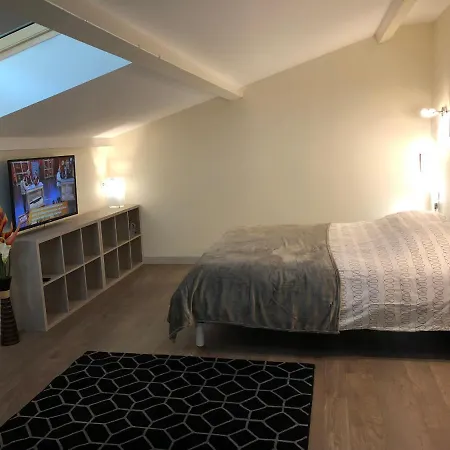 Apartment Superbe Loft Centre-ville *